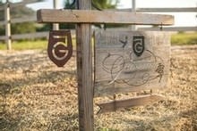 Photo of wooden Grassini sign and carved logo at the estate vineyard