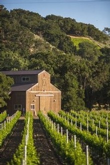 Barn and landscape view at the Grassini Family Vineyards estate winery